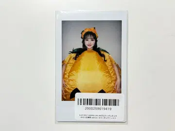 카와라보 메이츠 야마모토 루시아 란 폴라로이드 호박 의상