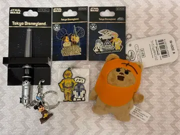 디즈니랜드 스타 투어스 핀 배지 키체인