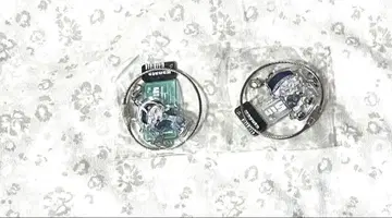 Paradox Live 파라라이 콜라보 카페본포 참 카나타 나유타