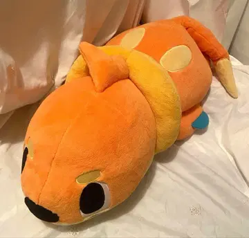 부이젤 포켓몬 타임 봉제 인형 빅 사이즈 포켓몬 센터