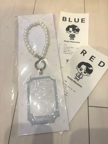 SnowMan 팝업 한국 스마트폰 탭 덤 포함