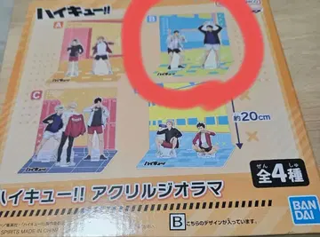 하이큐!! 아크릴 디오라마 디자인B 약 20cm