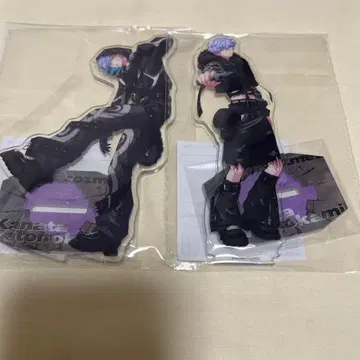 파라라이 6주년 아크릴 스탠드 cozmez