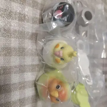 소프트 비닐 메지루시 밴딩 코토리 3종 세트 (문조, 잉꼬, 사랑앵무)
