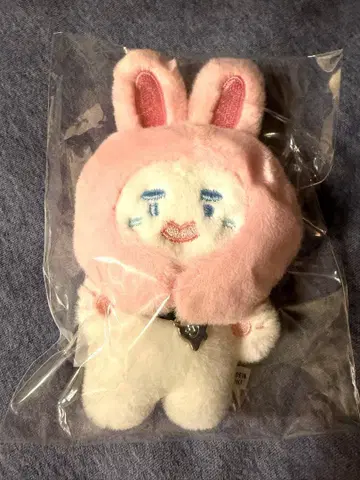 [ 새상품 ] SHINee 온유 진냥이 10cm 봉제 인형