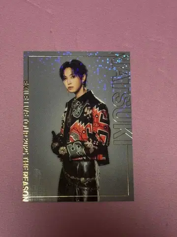 EXILE THE REASON 호리 나츠키 포토 카드 시크릿 포토 카드