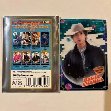 라키아 아마르가 가면라이더 가브 트레이딩 스타일 카드 컬렉션