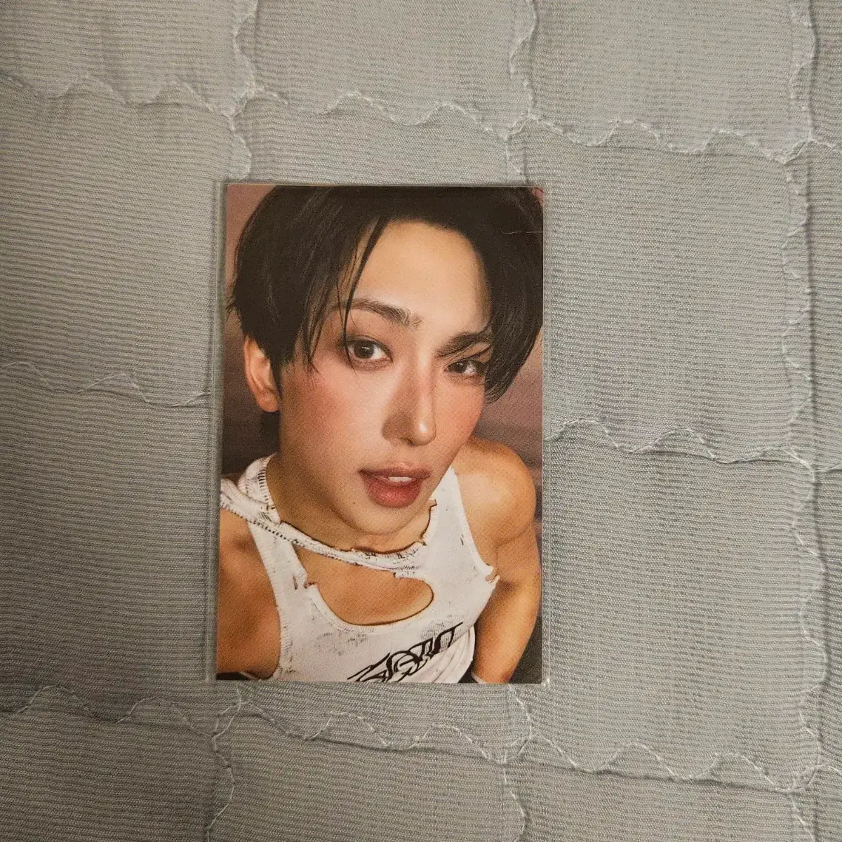 &team back to Life poca wts