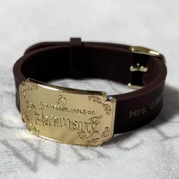 Mrs. GREENAPPLE Harmony 러버 밴드