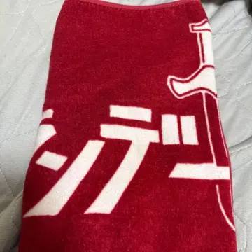 브랜디 전기 타월