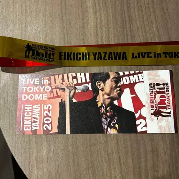 야자와 에이요시 2025 도쿄돔 티켓 119