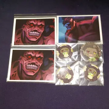 Fate 캔뱃지 브로마이드 버서커 7