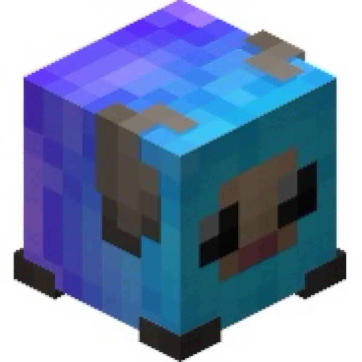 2b Yangpet 120,000 won (166m/1 level) #스카이블럭,#하이픽셀,#코인,#스블,#마크 on Bunjang  Global Site.