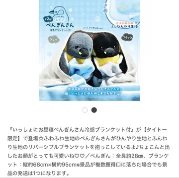 함께 낮잠 자는 펭귄 씨 냉감 담요 포함