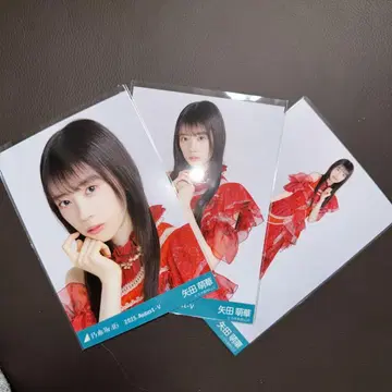 노기자카46 야타 모에카 브로마이드 13thBD 라이브 의상2 컴프