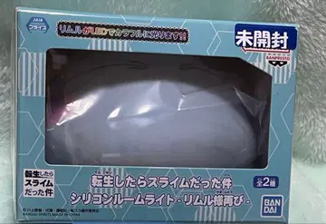 실리콘 룸 라이트