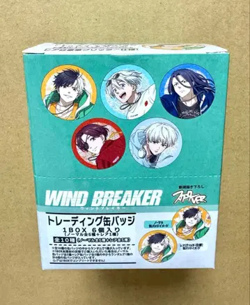 윈드 브레이커 스케이터 캔뱃지 6개입 BOX 미개봉 새상품