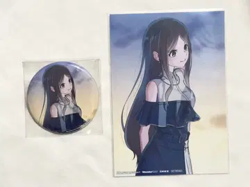 MyGO!!!!! 나가사키 소요 미세키나 특전 캔뱃지 브로마이드 세트