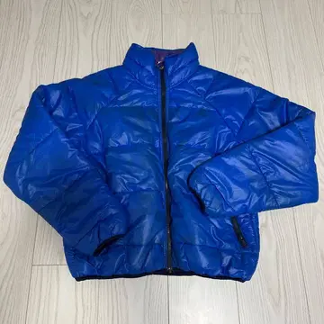 Patagonia 다운 블루 80's