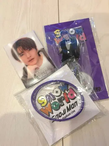 SnowMan Snow World 후카사와 타츠야