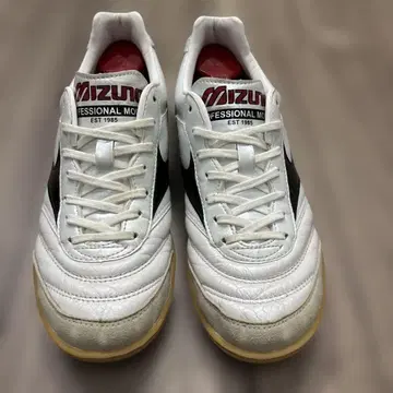 모렐리아 풋살화