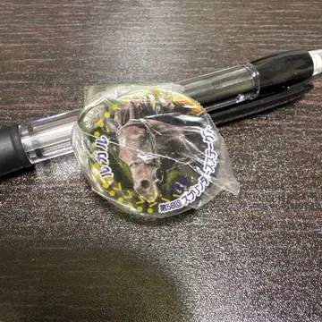 아이돌 호스 미니 컬렉션 루갈