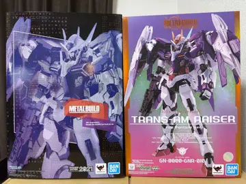 메탈빌드 트랜잠 라이저 Full Particle ver.