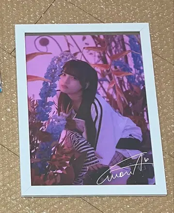 팬텀 시타 REFLEM 포스터 모나