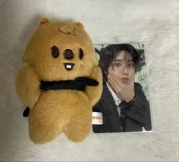 스키즈 마그넷 키링 한쿼카 한 10cm 만세 혜택 트레이딩 카드