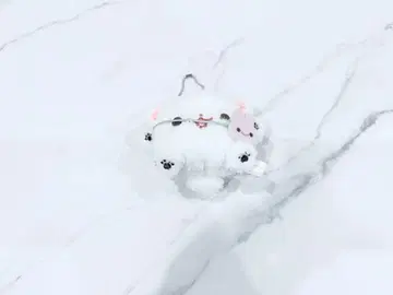 포메라니안 모찌 시라타마 푸리 마스코트 봉제 인형