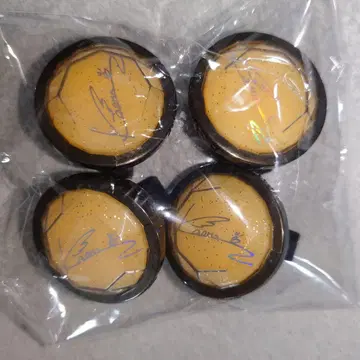 앙스타 히카제 카오루 린라이 스타포니