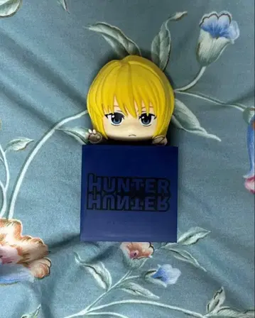 HUNTER HUNTER 크라피카 히캇케 피규어