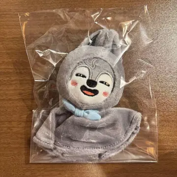 Stray Kids 테루테루보즈 백참 방찬 울프찬