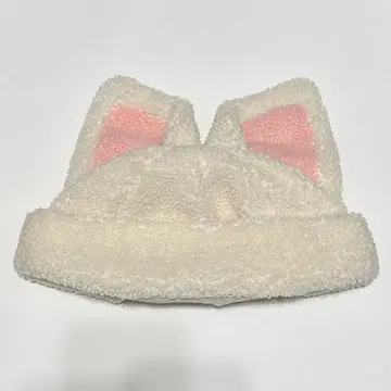 straykids skzoo 보아캡 폭시니 아이엔 IN