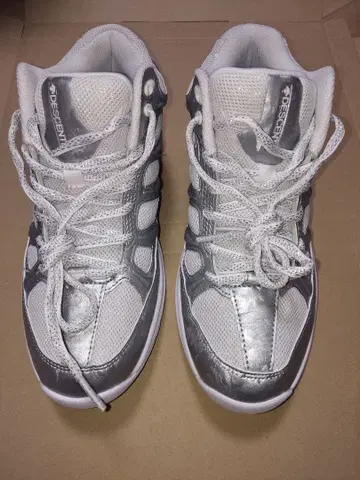 DESCENTE 데상트 피트니스 신발 24.5cm