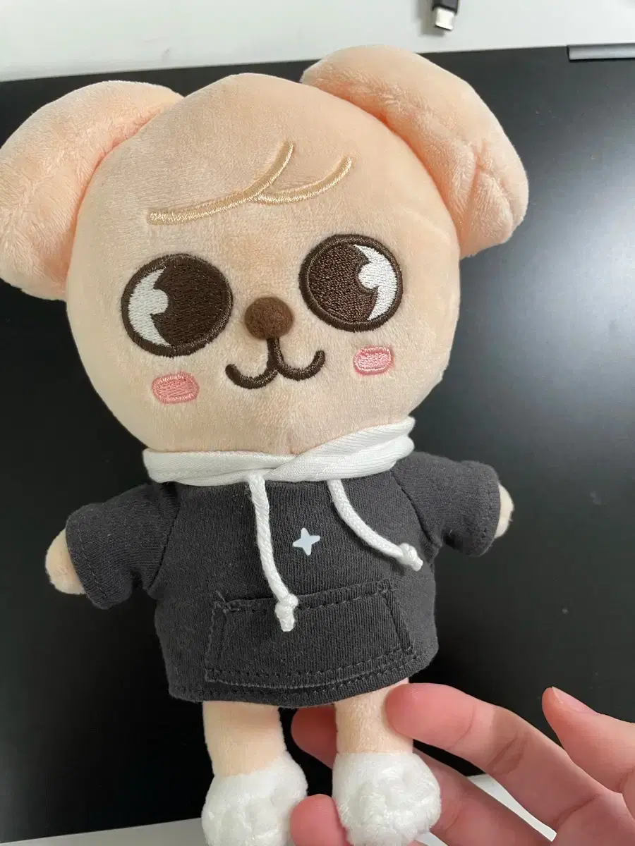 Stray Kids Perfim wts