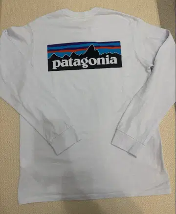 파타고니아 롱T