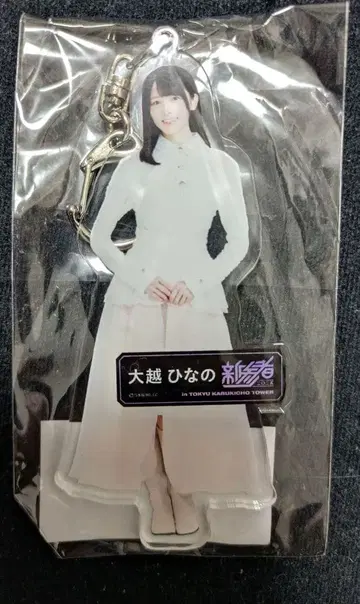 오오코시 히나노 노기자카 신참자 아크릴 키링