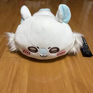 치이카와 모몽가