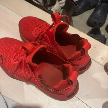 PUMA 레드 러닝화
