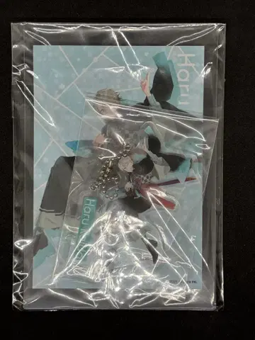 니지산지 니지페스 2021 아크릴 키링 & 브로마이드 세트 카이다 하루