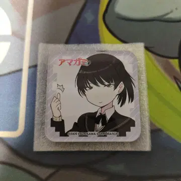 아마가미 츠카하라 히비키 베비스타 아크릴 마그넷