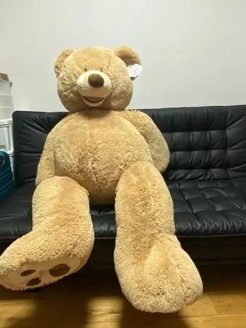 코스트코 곰 봉제 인형 (135cm)