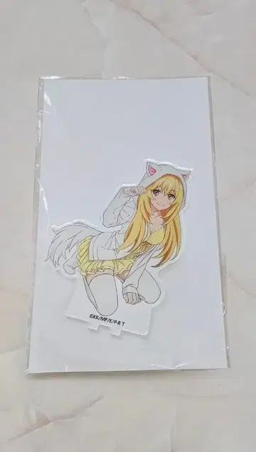 어떤 과학의 초전자포 T 애니카페 BIG 아크릴 스탠드 쇼쿠호 미사키