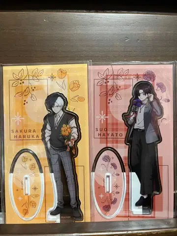 윈브레 스오우 벚꽃 아크릴 스탠드 윈드 브레이커 마임 코퍼레이션