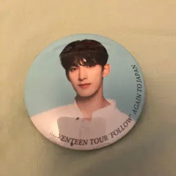 SEVENTEEN 도겸 캔뱃지 FOLLOW AGAIN