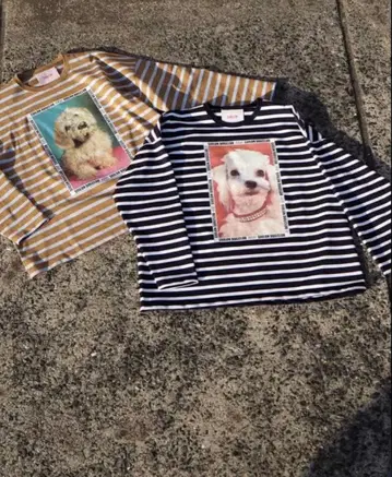 시이론 SIIILON 상의 티셔츠 롱티 강아지 보더