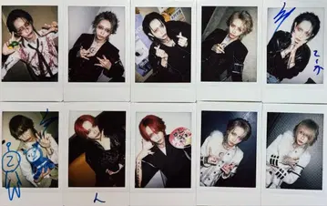 레이[Hz] TEIKA 폴라로이드 50장