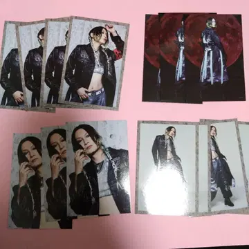 나이트메어 무도관 야연 사키토 노멀 트레이딩 카드