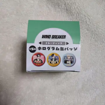 WIND BREAKER 트레이딩 홀로그램 캔뱃지